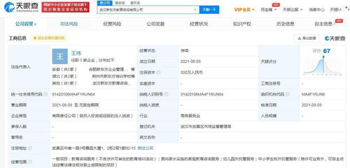 新东方拓展教育服务版图 成立教育咨询公司并扩展儿童看护与网络文化经营