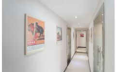 郑州盘大教育 专业法语与意大利语服务，完善您的多语学习之旅