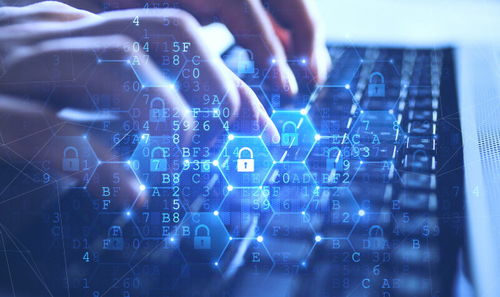 企业如何实现开发、安全、合规并存？二十年IT领域资深专家解读网络文化经营之道