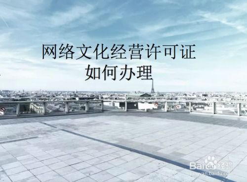 网络文化经营许可证办理指南 从申请到拿证的全面解析