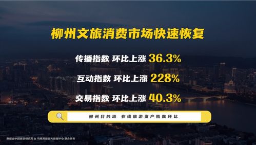 以智互联看柳州 柳州市文化旅游互联网推广数据发布会成功举办 网络文化经营展新姿