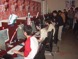 推动网络文化市场发展 促进文化繁荣与规范经营